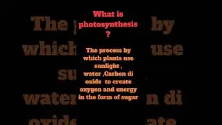 What is photosynthesis ? Explain in very simple way. # Bio-Diversity Science