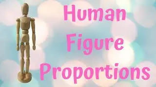 Drawing the Human Figure - Proportions