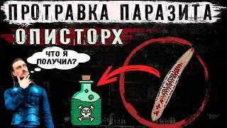 Какой результат я получил от протравливания паразита Описторх?