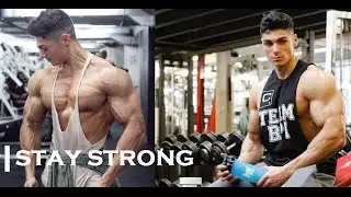 STAY STRONG -  Aesthetic Fitness  Bodybuilding Motivation