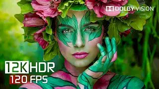 World's Most Beautiful HDR 12K 120 FPS Dolby Vision (12K Video)