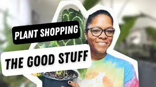 SHOP WITH ME! | GREENHOUSE VISIT | PLANT AND SEED HAUL | RARE PLANTS | CONTAINER VEGETABLES