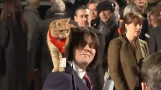 'Bob the cat' passes away aged 14 (UK) - ITV London News - 16th June 2020