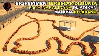 LEBIH BRUTAL LAGI ‼️ 500+ MANUSIA DIJADIKAN MANUSIA KELABANG - ALUR CERITA FILM PSIKOPAT