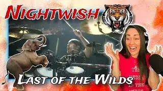 An Elvin dream! | Nightwish - Last of the Wilds (Wacken 2013) Reaction