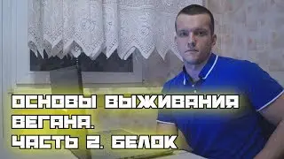 Основы выживания вегана. Часть 2. Белок