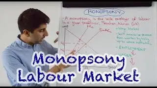 Monopsony - Labour Market Impact