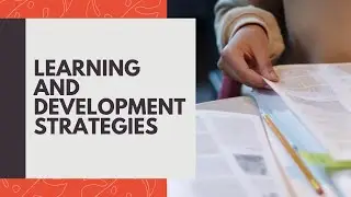 What is a learning and development strategy? With Examples