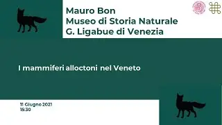 Mauro Bon, I mammiferi alloctoni del Veneto