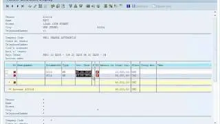 SAP FICO Tutorials For Beginners - Part 14