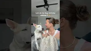 Birthday makeup on my dog💄🎉