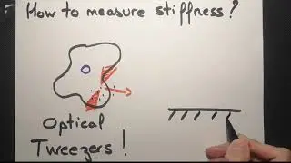 Measuring mechanical properties of tumor cells to fight cancer