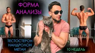 ОТЧЕТ ПО КУРСУ ТЕСТОСТЕРОН НАНДРОЛОН МЕТАН 10 НЕДЕЛЬ. АНАЛИЗЫ И ФОРМА.