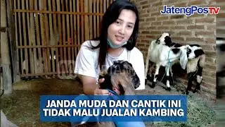 GAGAL MENIKAH JANDA CANTIK SUKSES JUALAN KAMBING | JATENGPOS TV