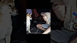идея 