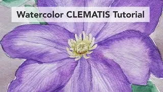 How to draw and paint a Clematis in watercolor - beginner tutorial (and how to use masking fluid)