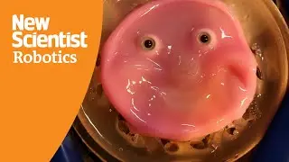 Smiling robot face is made from living human skin cells