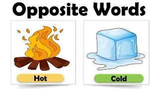 Opposite Words in English |  Opposite Words in Hindi to English Vocabulary | Spoken English