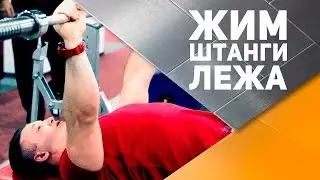 Жим штанги лежа: техника выполнения [Спортивный Бро]