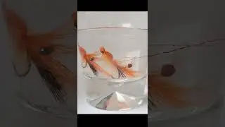 Плавающие креветки. Floating Spey Shrimps. #shorts #short