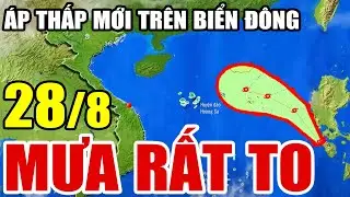 Dự báo thời tiết hôm nay và ngày mai 28/8/2024 | dự báo bão mới nhất | thời tiết 3 ngày tới