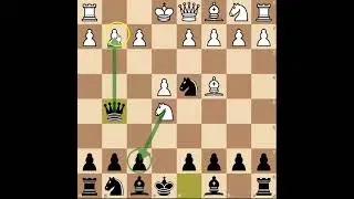Blackburne-Shilling Gambit #shorts
