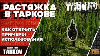 🎙 РАСТЯЖКИ ИМБА? | КАК ОТКРЫТЬ И ПРИМЕР РАБОТЫ [ESCAPE FROM TARKOV] | PingH8