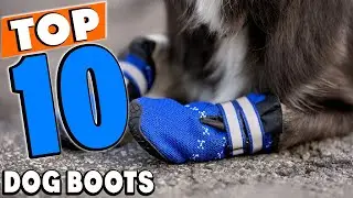 Top 10 Best dog boots Review In 2024