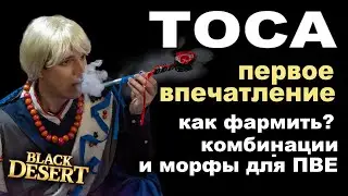 ТОСА (Dosa): Скилы, билды, комбы на фарм и первые впечатления - НЕ гайд в BDO - Black Desert