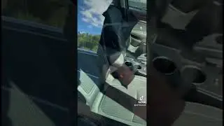 Renault Меган авторынок Малиновка Беларусь