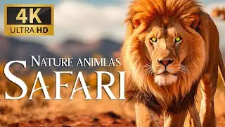 Discovering Serene Nature: Kingdom Expedition 4K