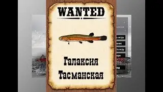 Ловим мутантов в РР3. Галаксия тасманска.