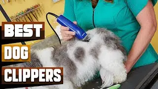 Best Dog Clipper In 2024 - Top 10 Dog Clippers Review