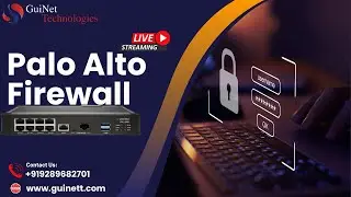 Master Palo Alto Firewall: Firewall Fundamentals, Cybersecurity, PCNSA/PCNSE Certification Journey |