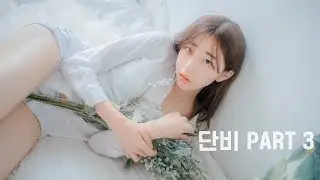 단비  DANBI PART III
