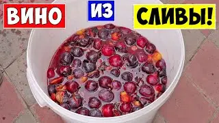 ВИНО ИЗ СЛИВЫ / Сливовое вино / Простой рецепт / Plum Wine!