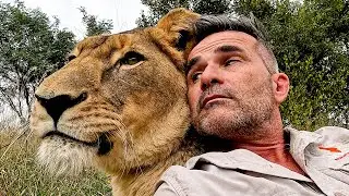 Animal Greetings - Behind the Scenes | The Lion Whisperer