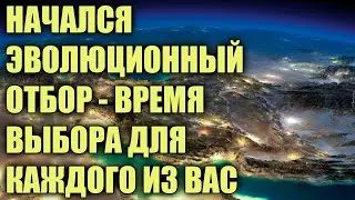 НАСТУПИЛА ВЕЛИКАЯ ЖАТВА ЛЮДЕЙ - ЭВОЛЮЦИОННЫЙ ОТБОР ЗАПЛАНИРОВАННЫЙ ВСЕЛЕННОЙ!