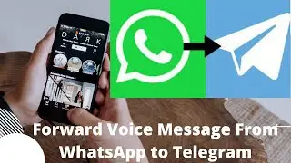 How to Forward Voice Messages From WhatsApp to Telegram