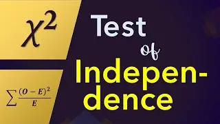 Chi-Square Test of Independence | Contingency Table | Hypothesis Test