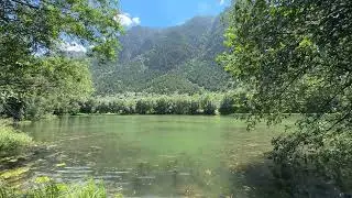 Bird sounds, Sounds of Nature for Relaxation, Meditation or Sound Sleep