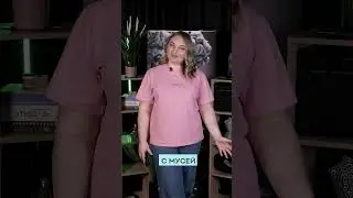 Коммуникация с владельцем 