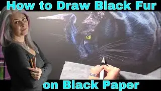 Colored Pencils - Drawing Black Fur on Black Paper - Cat Tutorial