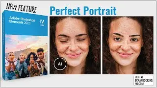 Create a Perfect Portrait in Photoshop Elements 2023