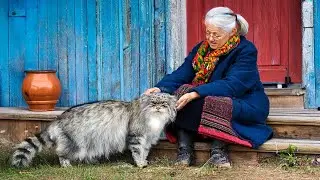 РЕДКАЯ ДИКАЯ КОШКА Живет С Бабушкой! То, Что Обнаружили Ученые, ПОРАЗИТ Вас!