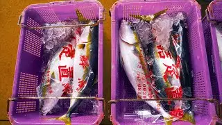 ピザ職人世界大会２位！独創的な魚介ピッツアの作り方！職人技 日本 京都 uRashiMa