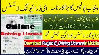 How to Download E Driving License 2025 | Punjab Police Latest Update Online E Driving License