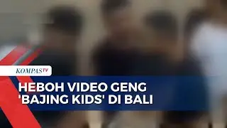 Viral Video Geng 'Bajing Kids', Isinya Pelajar SMP dan SMA di Bali