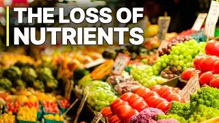 Industry Scandal: The Loss Of Nutrients | Full Documentaries