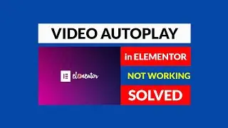 Elementor video autoplay and loop not working | WordPress | Autoplay